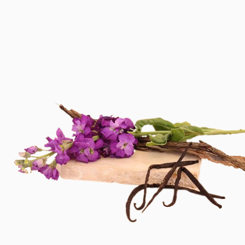 VANILLA PATCHOULI & SANDALWOOD REED DIFFUSER OIL REFILL - GumDropAus