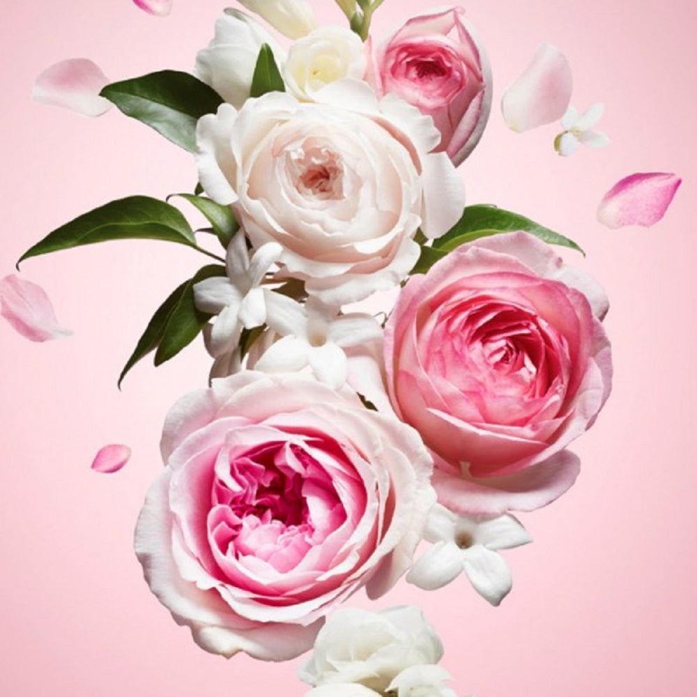 Flower Bomb - GumDropAus