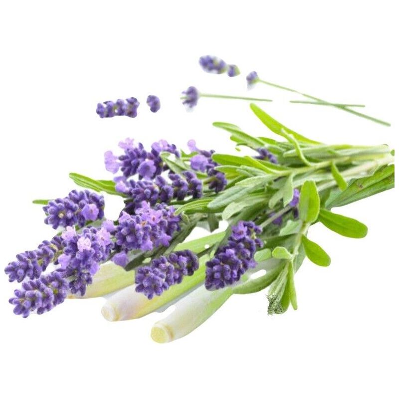LEMONGRASS & LAVENDER REED DIFFUSER OIL REFILL - GumDropAus