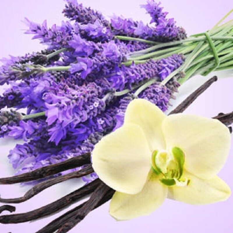 LAVENDER & VANILLA REED DIFFUSER OIL REFILL - GumDropAus