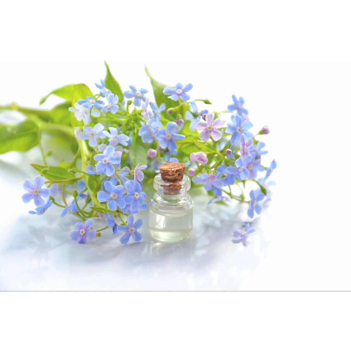NEROLI & LAVENDER REED DIFFUSER OIL REFILL - GumDropAus