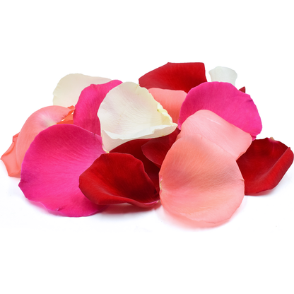 ROSE PETALS & LOTUS REED DIFFUSER OIL REFILL - GumDropAus